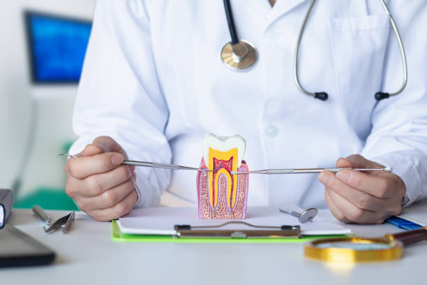 Best Knocked-Out Tooth (Avulsed Tooth) Treatment in Cherry Valley, CA